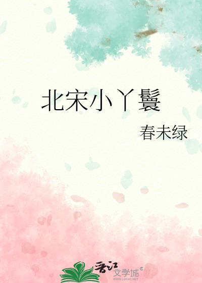 北宋小丫鬟