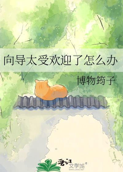 向导太受欢迎了怎么办
