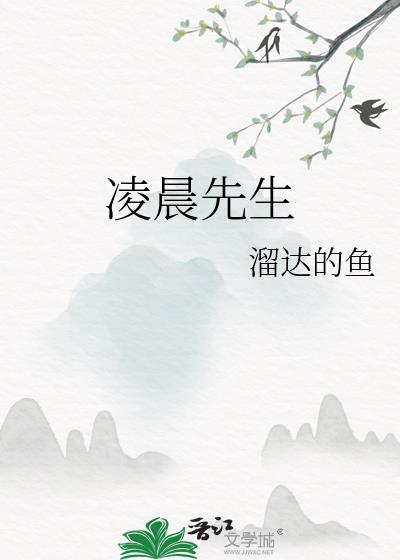 凌晨先生