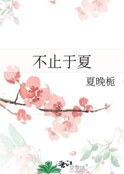 不止于夏